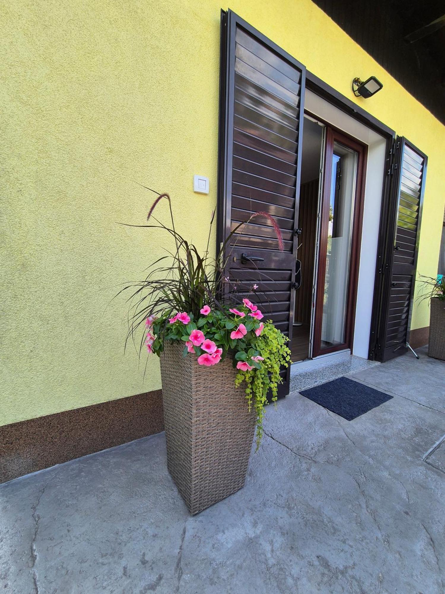 Harmony Apartment 科佩尔 外观 照片
